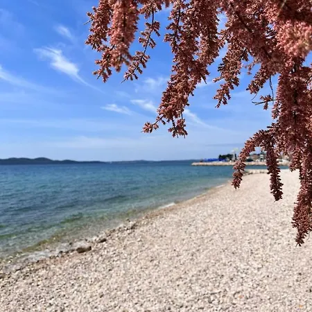 Modern Mediterranean Luxury *